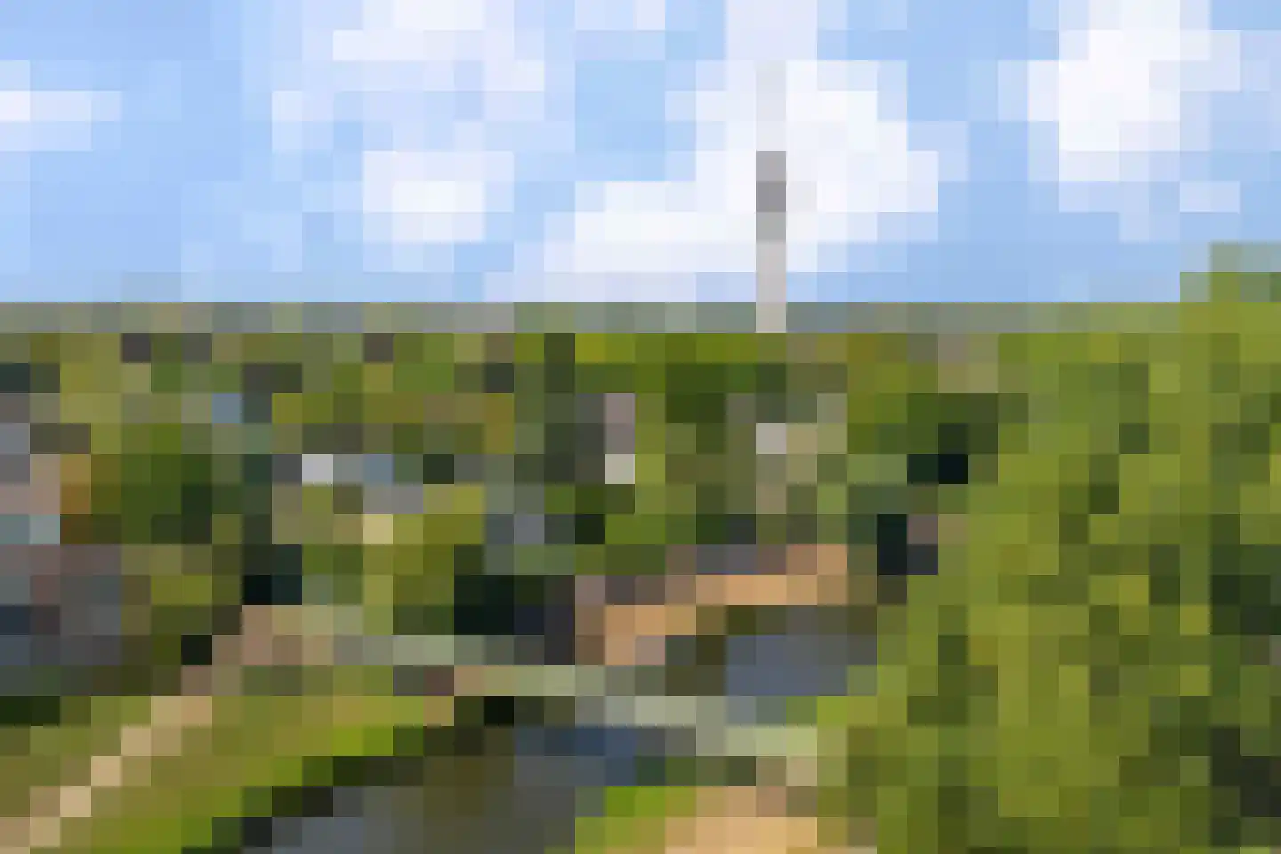 Hattem 106 Roermond thumbnail 28