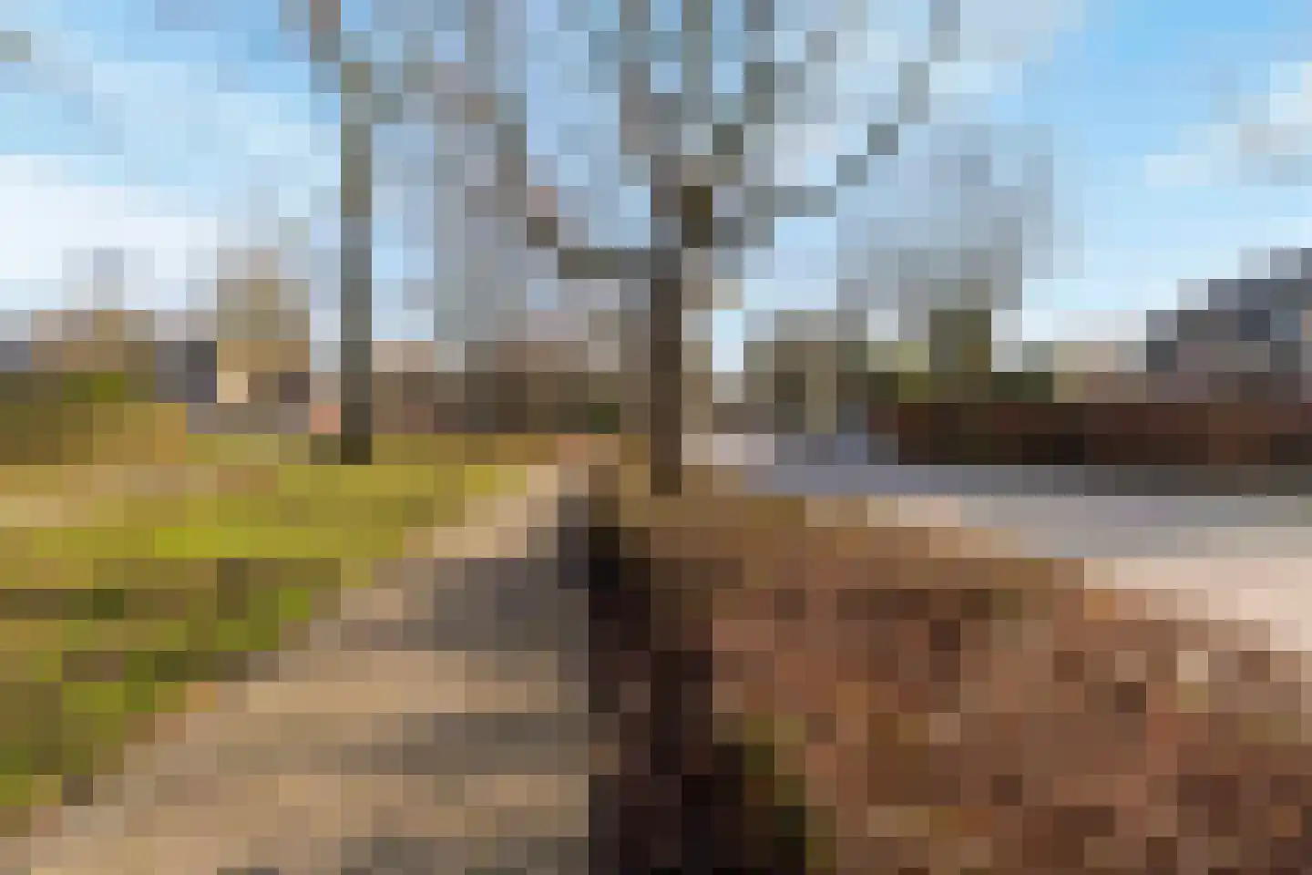 Hattem 122 Roermond thumbnail 22