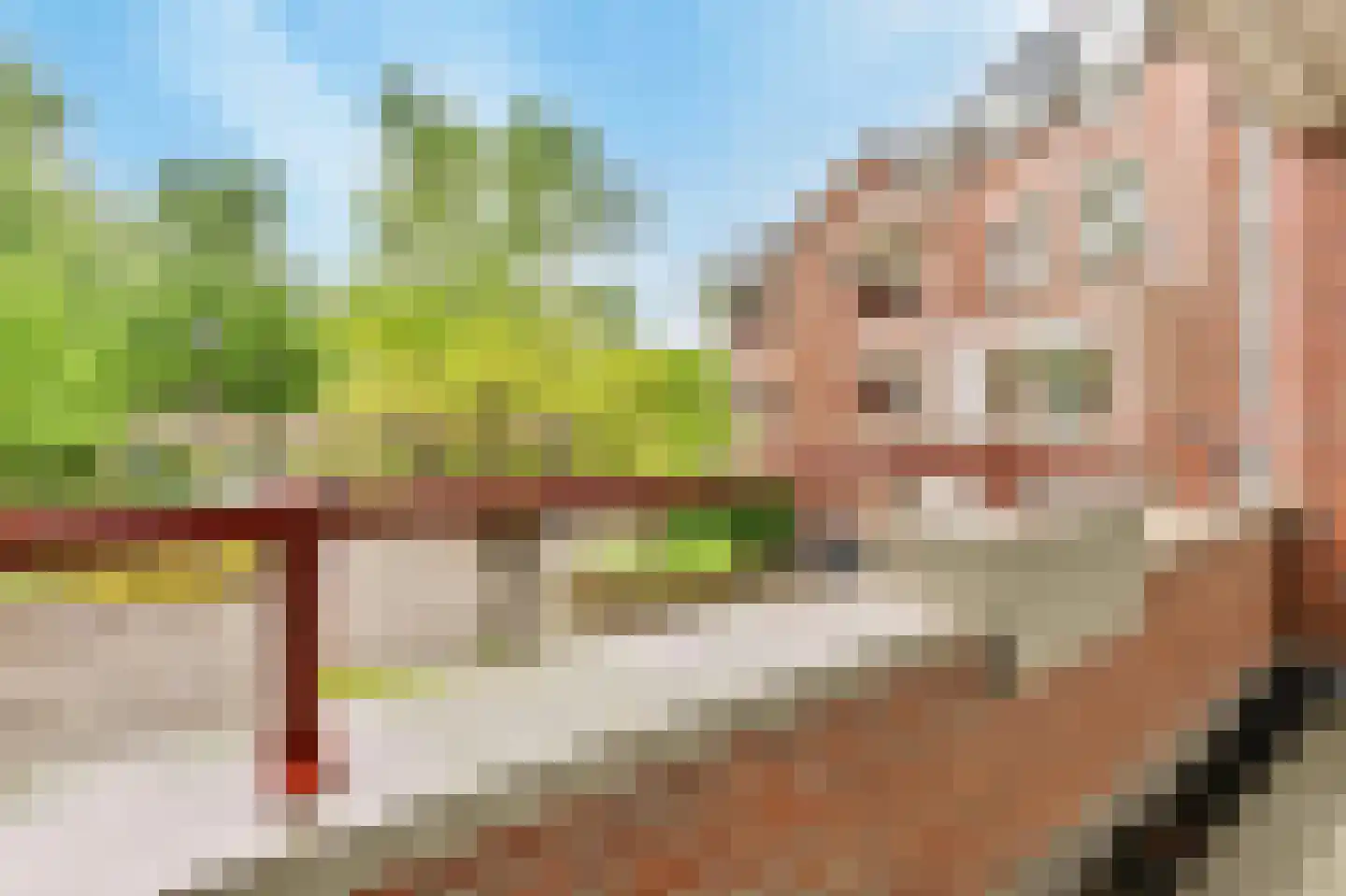 Hattem 99 Roermond thumbnail 18