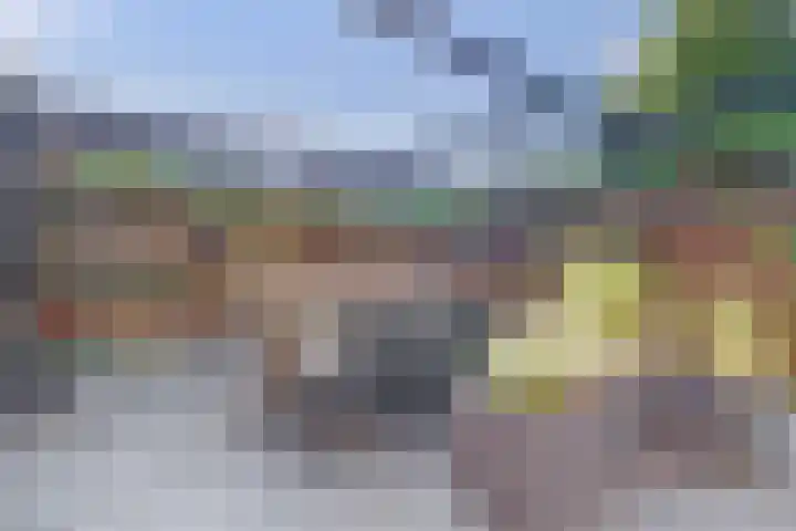 Hattemerschans 5 Nieuwegein thumbnail 14