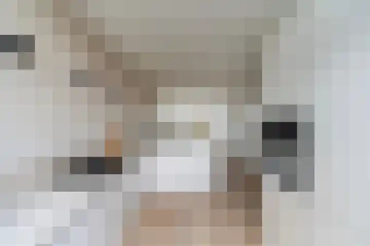 Hattemlaan 105 Den Haag thumbnail 10
