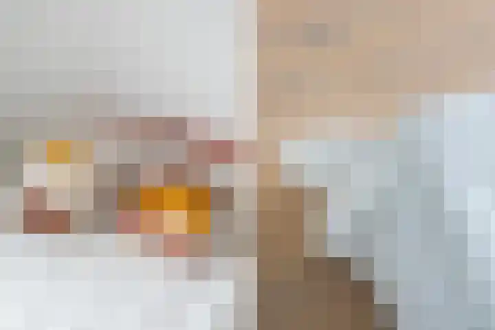 Hattemlaan 105 Den Haag thumbnail 17