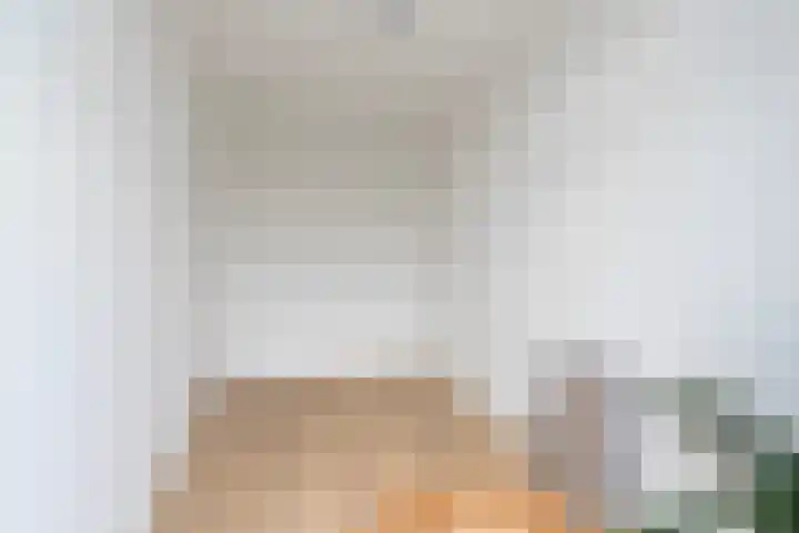 Hattemlaan 105 Den Haag thumbnail 22
