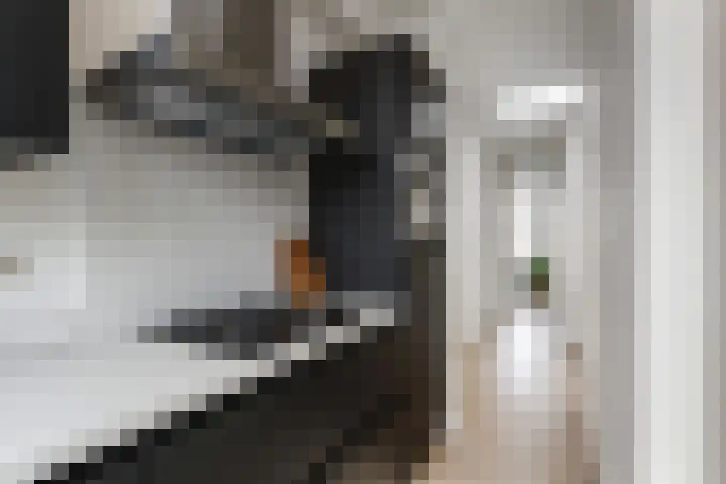 Hattemlaan 119 Den Haag thumbnail 12