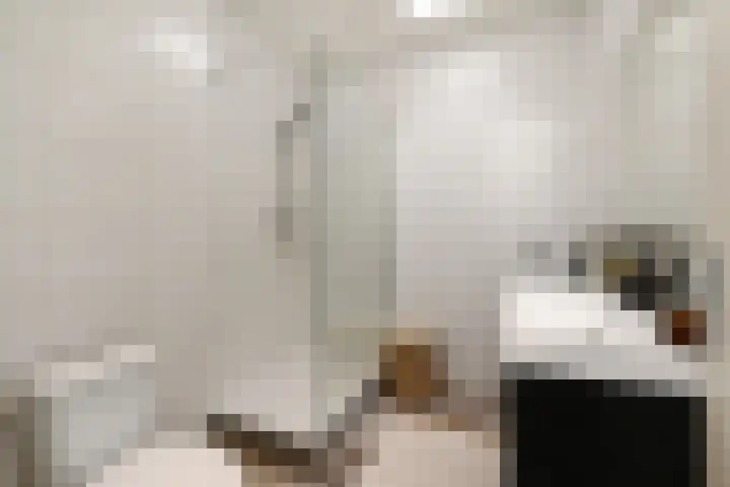 Hattemlaan 119 Den Haag thumbnail 13