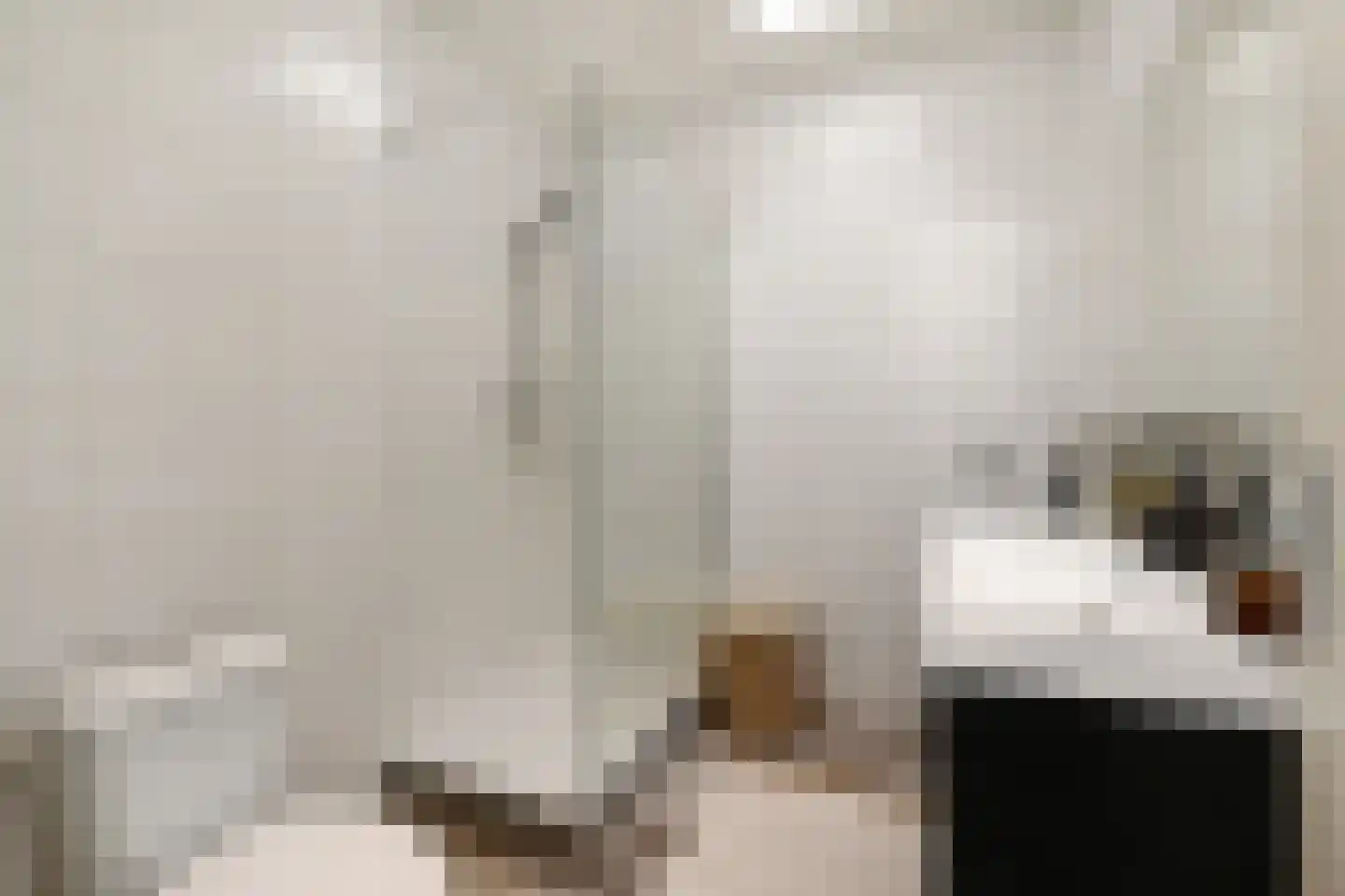 Hattemlaan 119 Den Haag thumbnail 14