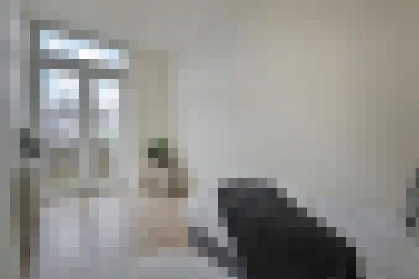 Hattemlaan 119 Den Haag thumbnail 20
