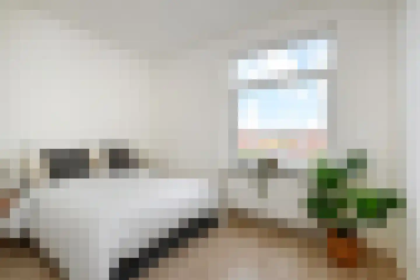 Hattemlaan 119 Den Haag thumbnail 23
