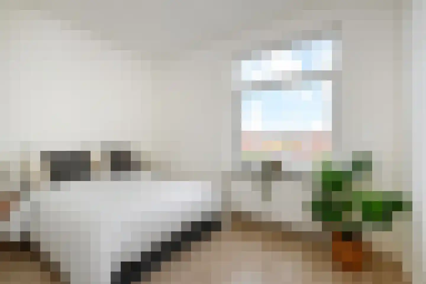 Hattemlaan 119 Den Haag thumbnail 24