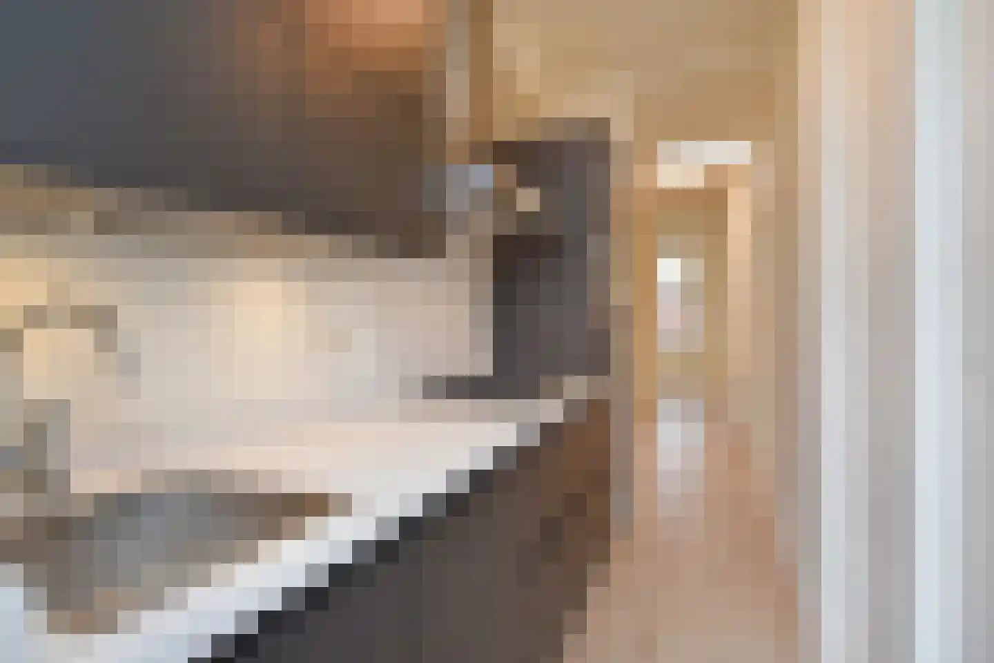 Hattemlaan 119 Den Haag thumbnail 26