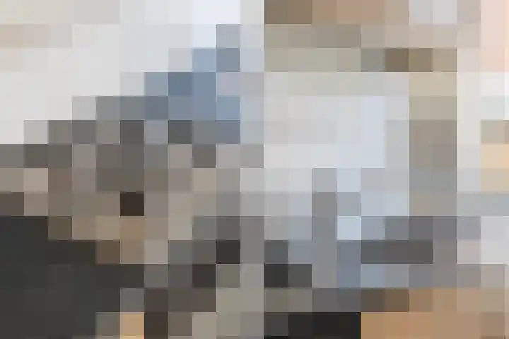 Hattemlaan 12 Den Haag thumbnail 11