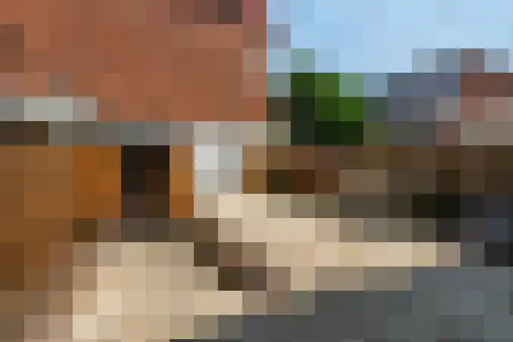 Hattemlaan 12 Den Haag thumbnail 22