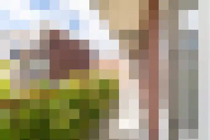 Hattemlaan 17 Den Haag thumbnail 13