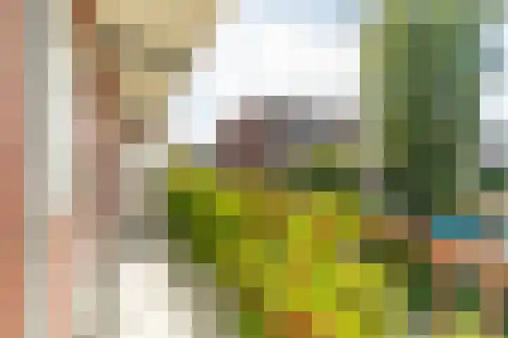 Hattemlaan 17 Den Haag thumbnail 14