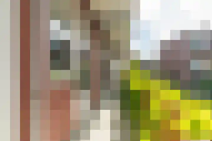 Hattemlaan 17 Den Haag thumbnail 15