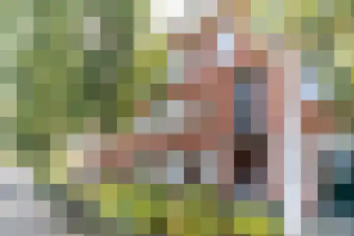 Hattemlaan 17 Den Haag thumbnail 17