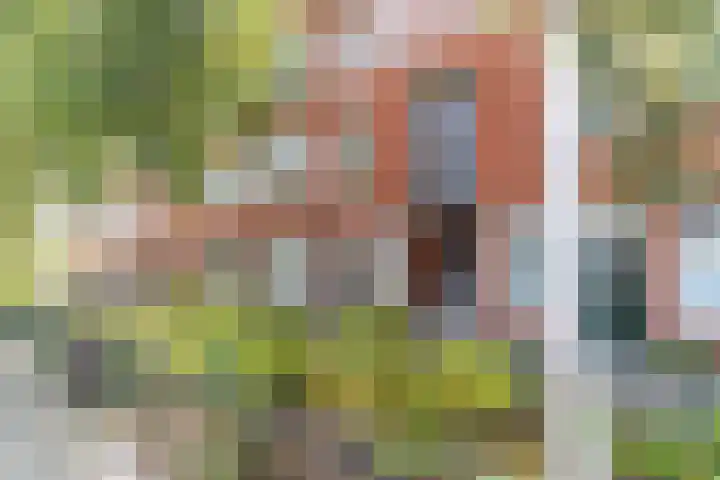 Hattemlaan 17 Den Haag thumbnail 18