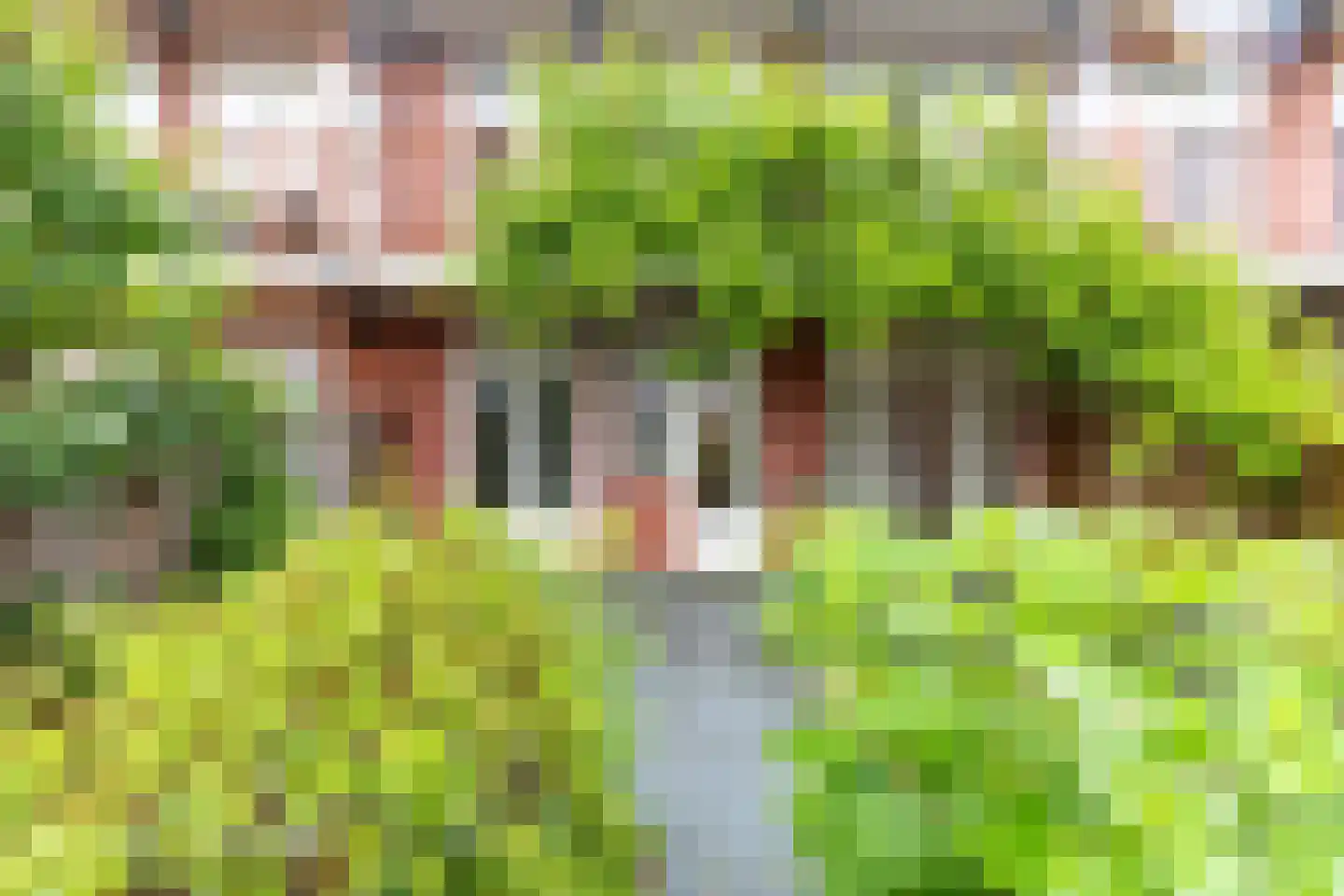 Hattemlaan 19 Den Haag thumbnail 10
