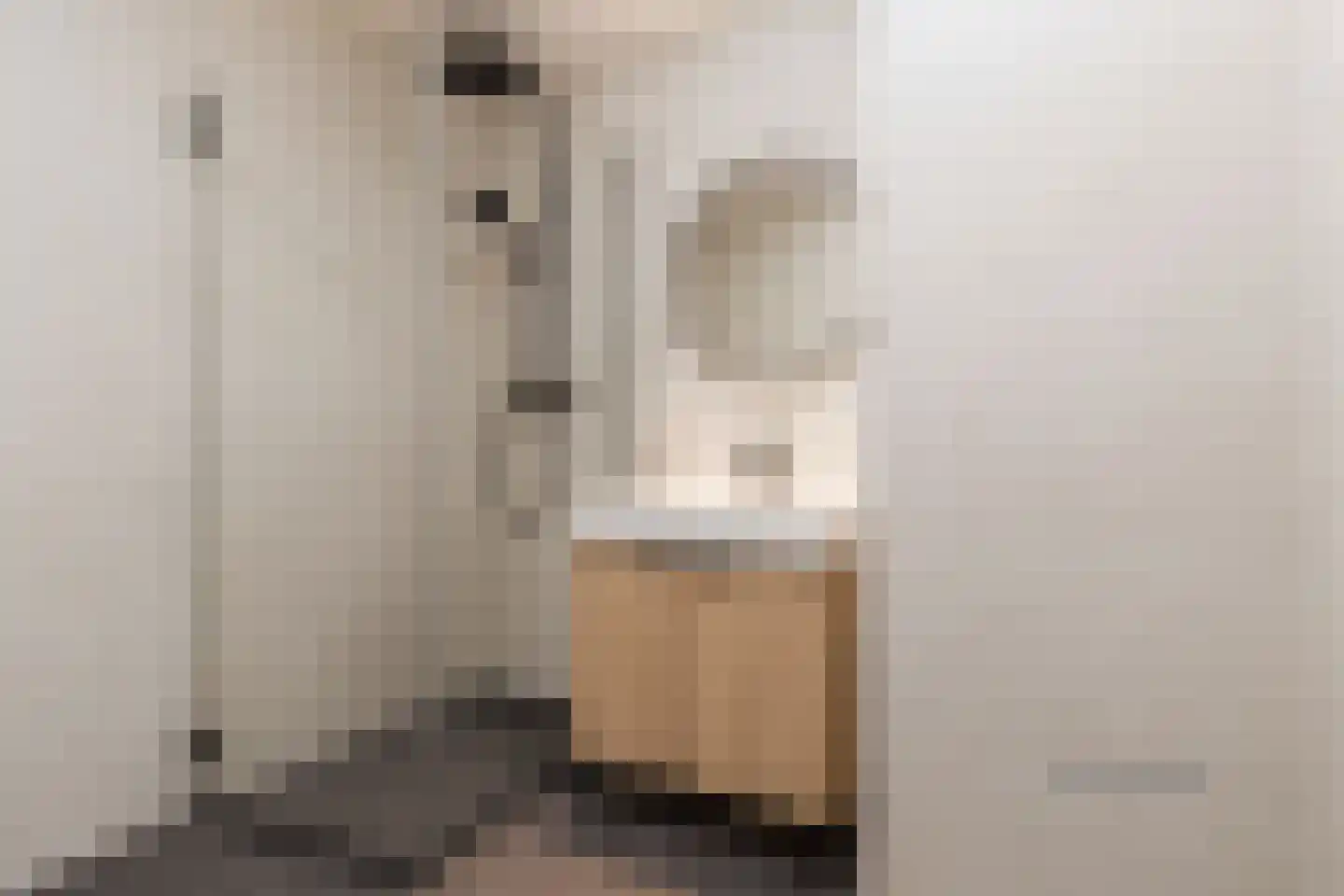 Hattemlaan 19 Den Haag thumbnail 14