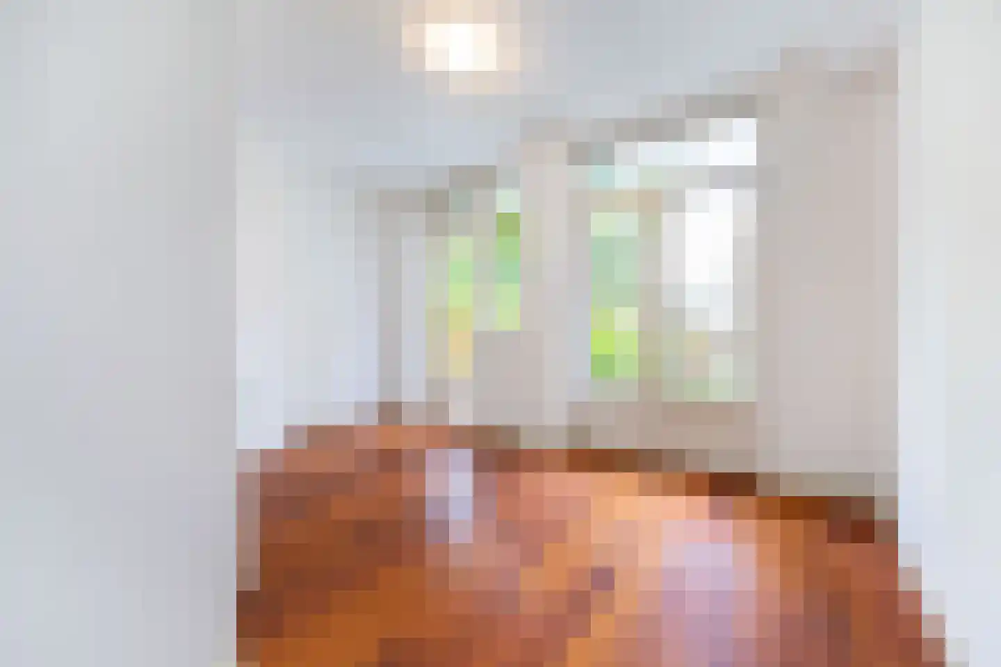 Hattemlaan 19 Den Haag thumbnail 19