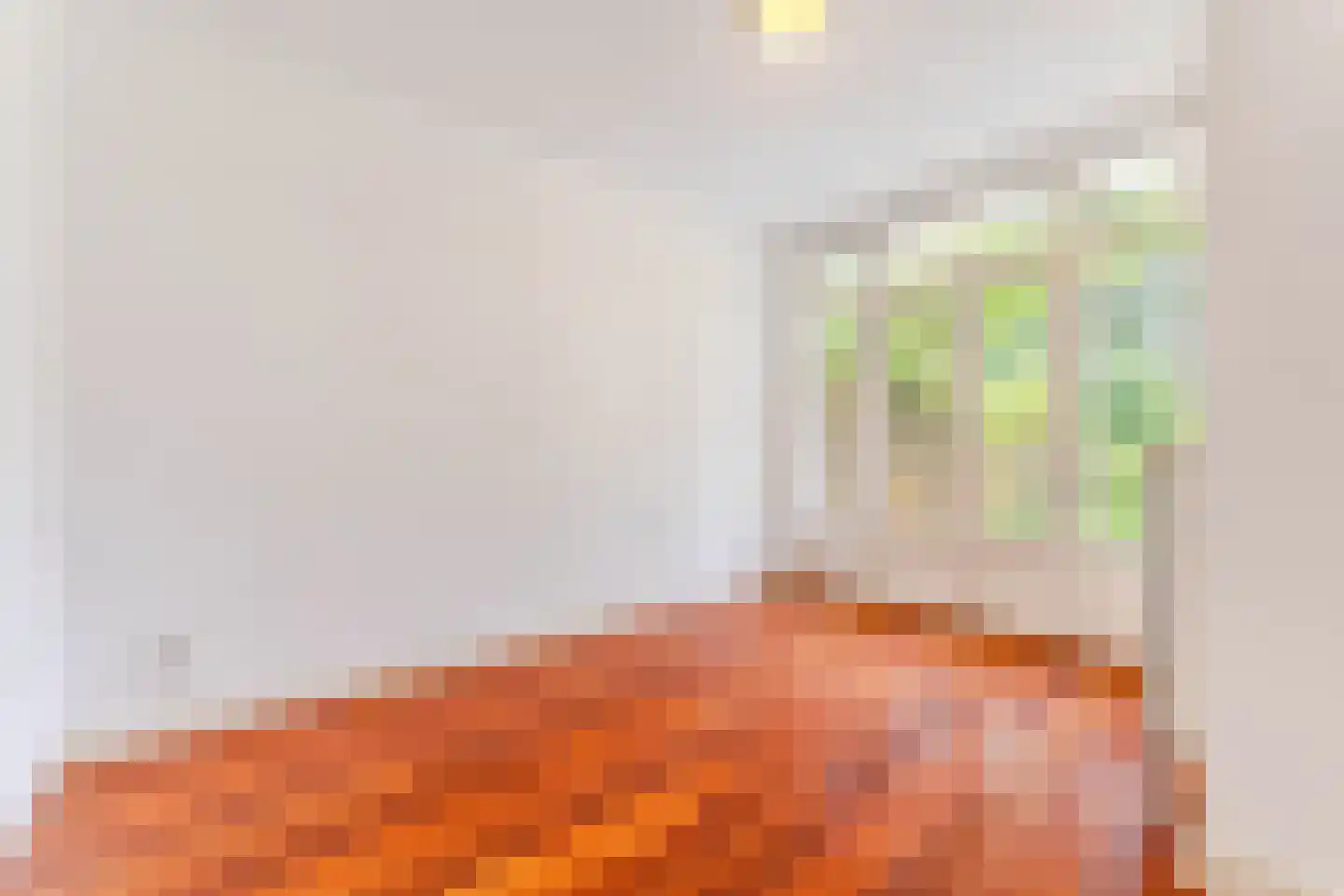 Hattemlaan 19 Den Haag thumbnail 20