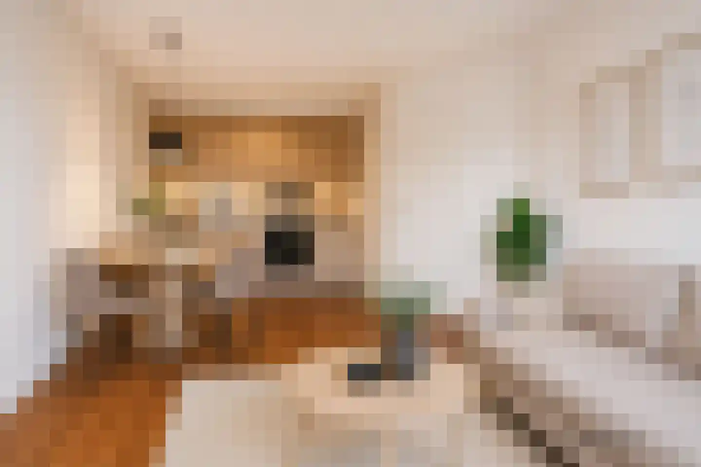 Hattemlaan 19 Den Haag thumbnail 4