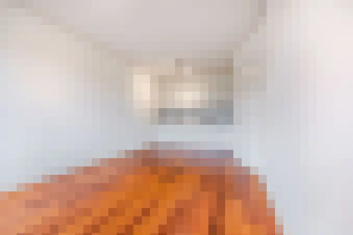 Hattemlaan 19 Den Haag thumbnail 5