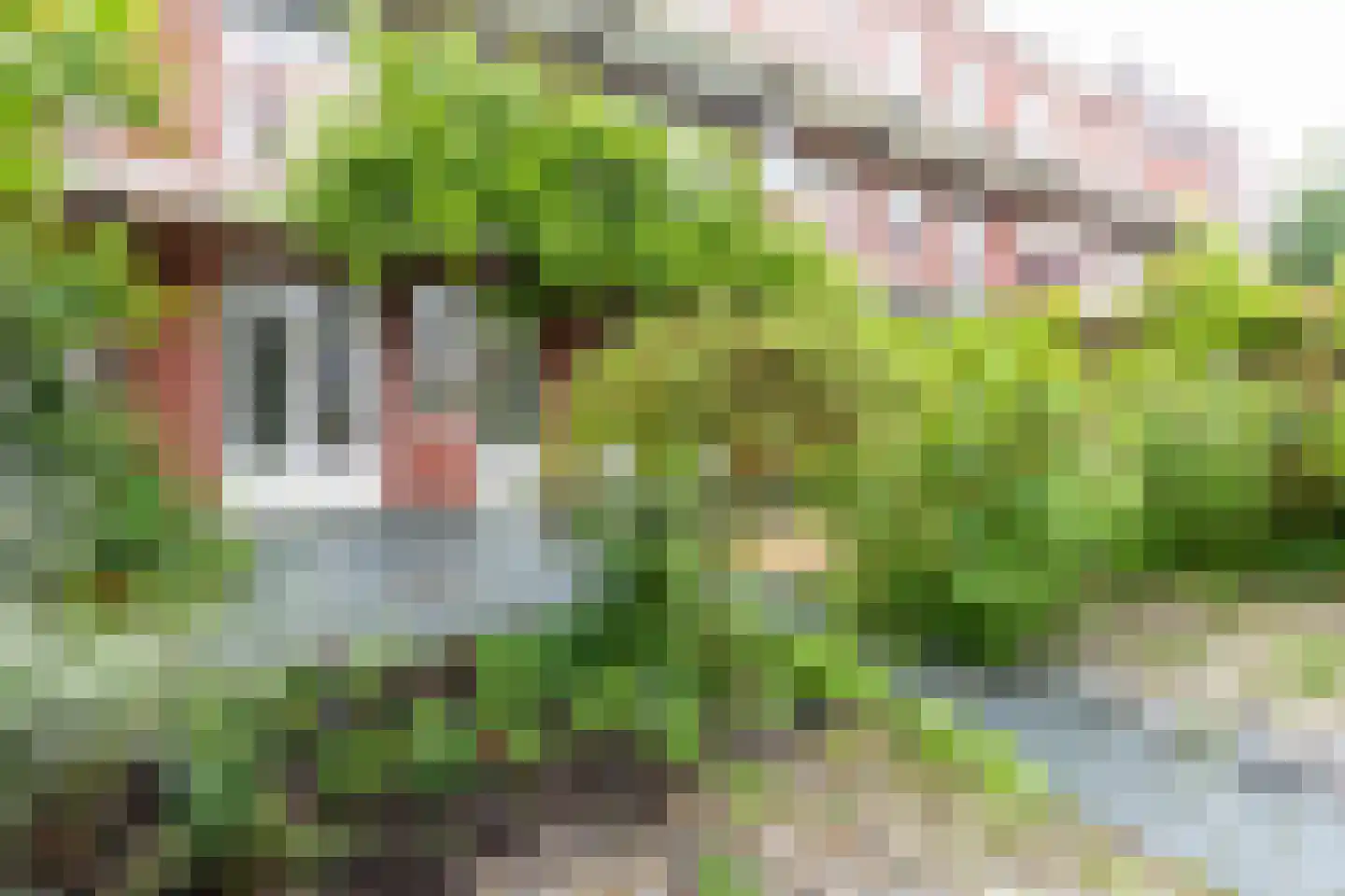 Hattemlaan 19 Den Haag thumbnail 9
