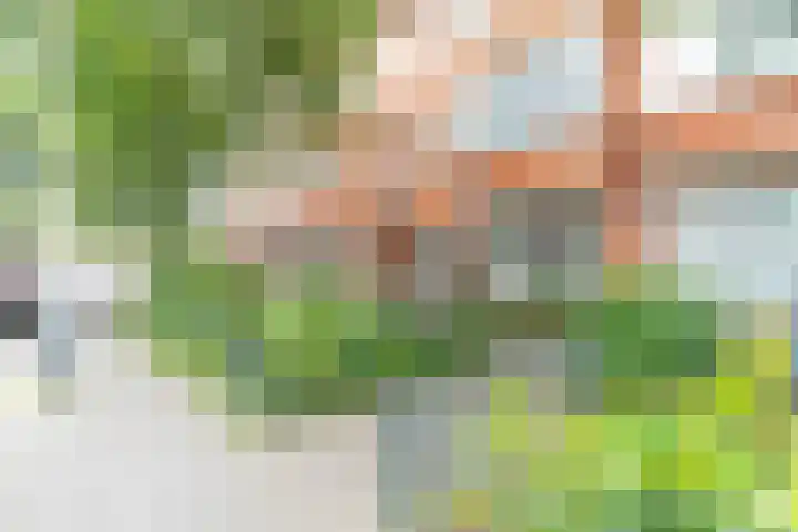 Hattemlaan 21 in Den Haag