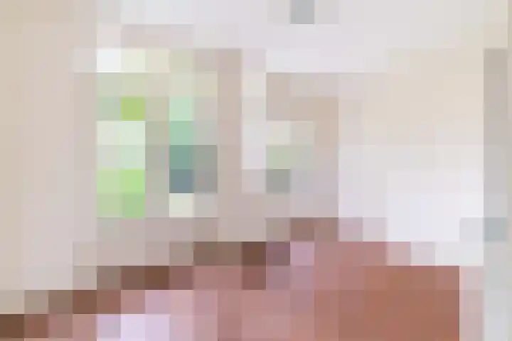 Hattemlaan 21 Den Haag thumbnail 12