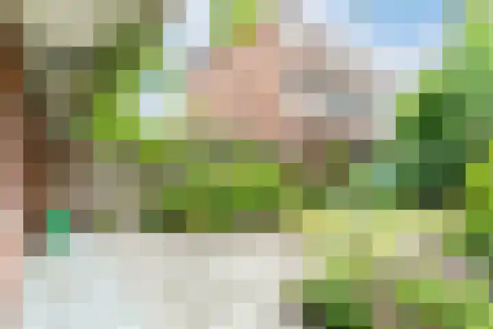 Hattemlaan 21 Den Haag thumbnail 23