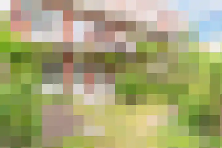 Hattemlaan 21 Den Haag thumbnail 24