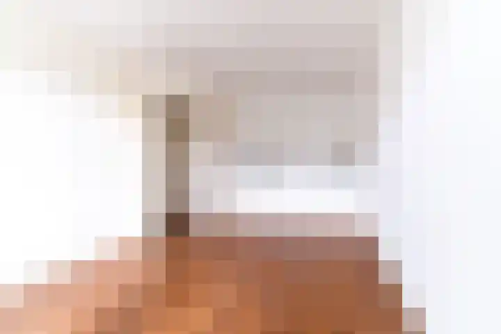 Hattemlaan 21 Den Haag thumbnail 7