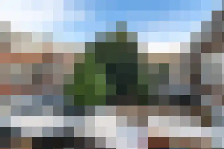 Hattemlaan 22 Den Haag thumbnail 21