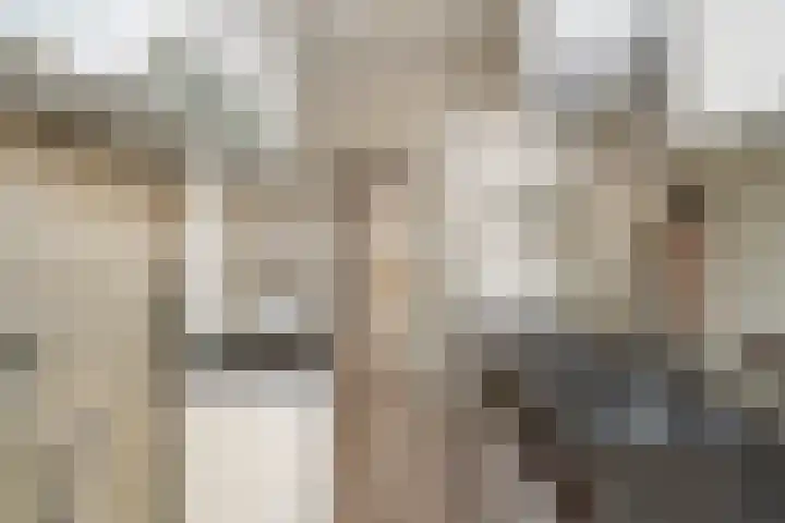 Hattemlaan 22 Den Haag thumbnail 9