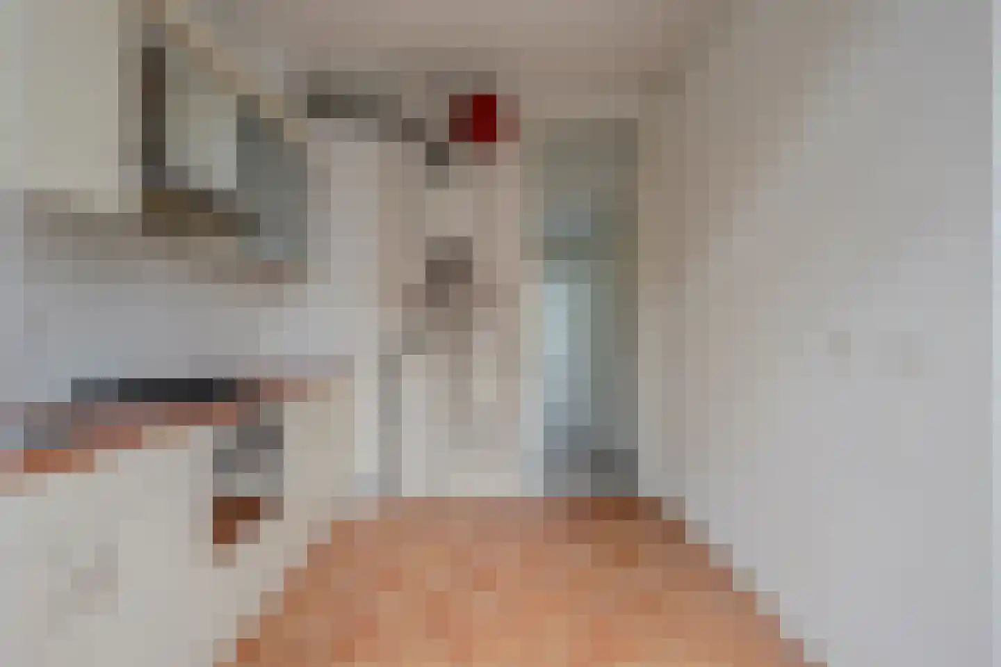 Hattemlaan 4 Den Haag thumbnail 14