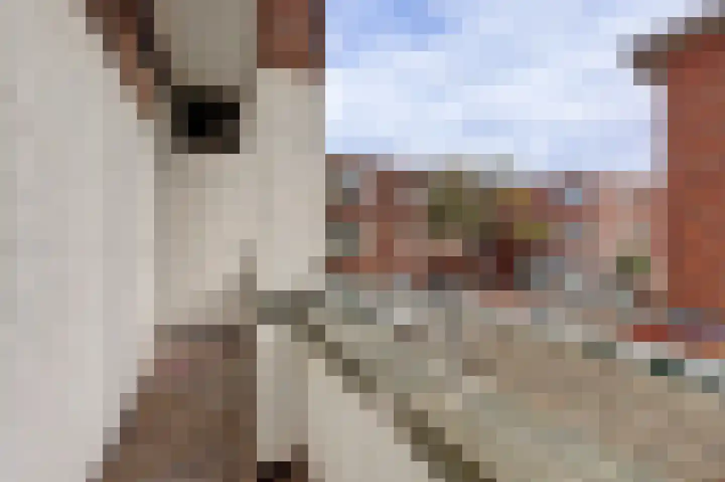 Hattemlaan 4 Den Haag thumbnail 21