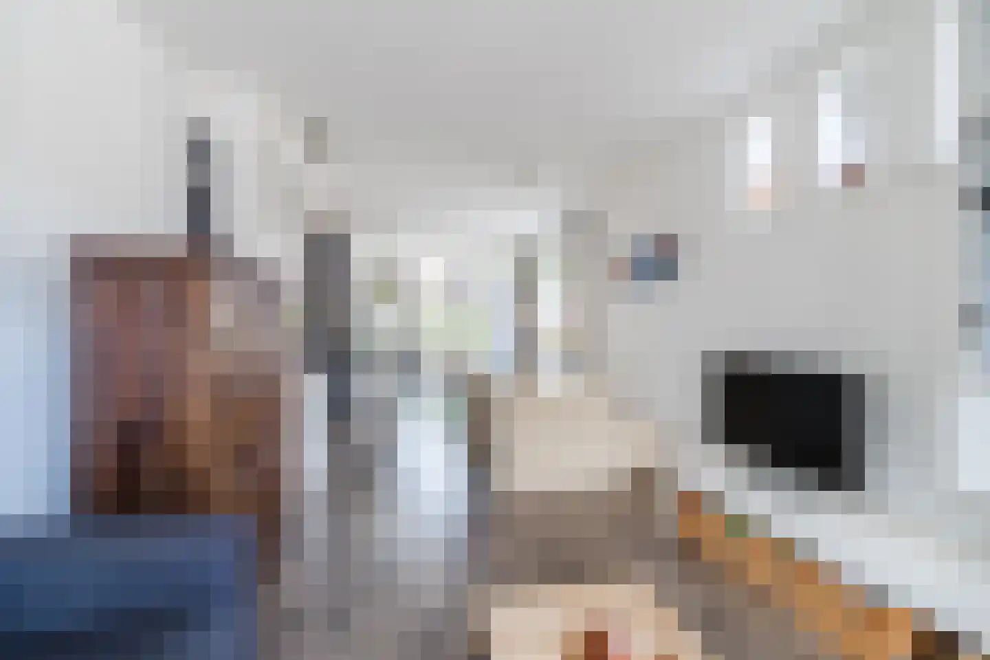 Hattemlaan 59 Den Haag thumbnail 13