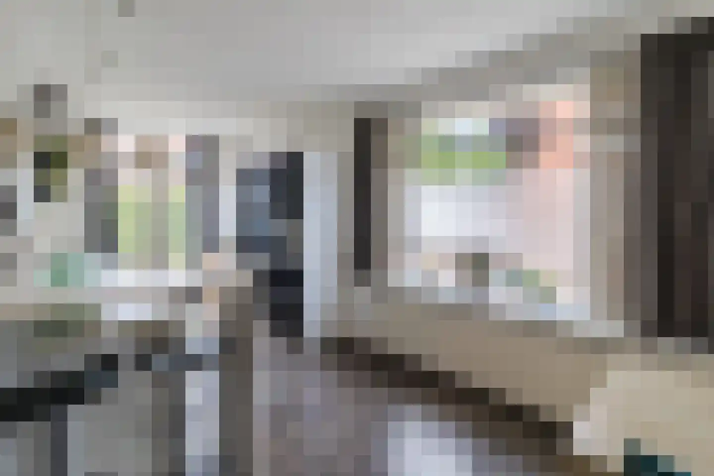 Hattemlaan 59 Den Haag thumbnail 20
