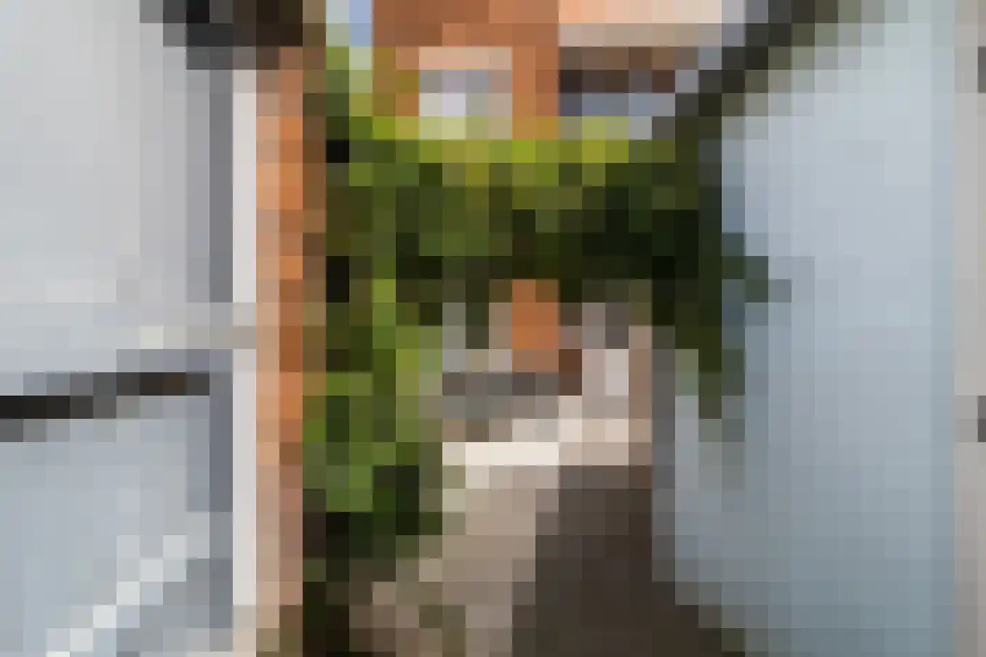 Hattemlaan 59 Den Haag thumbnail 41