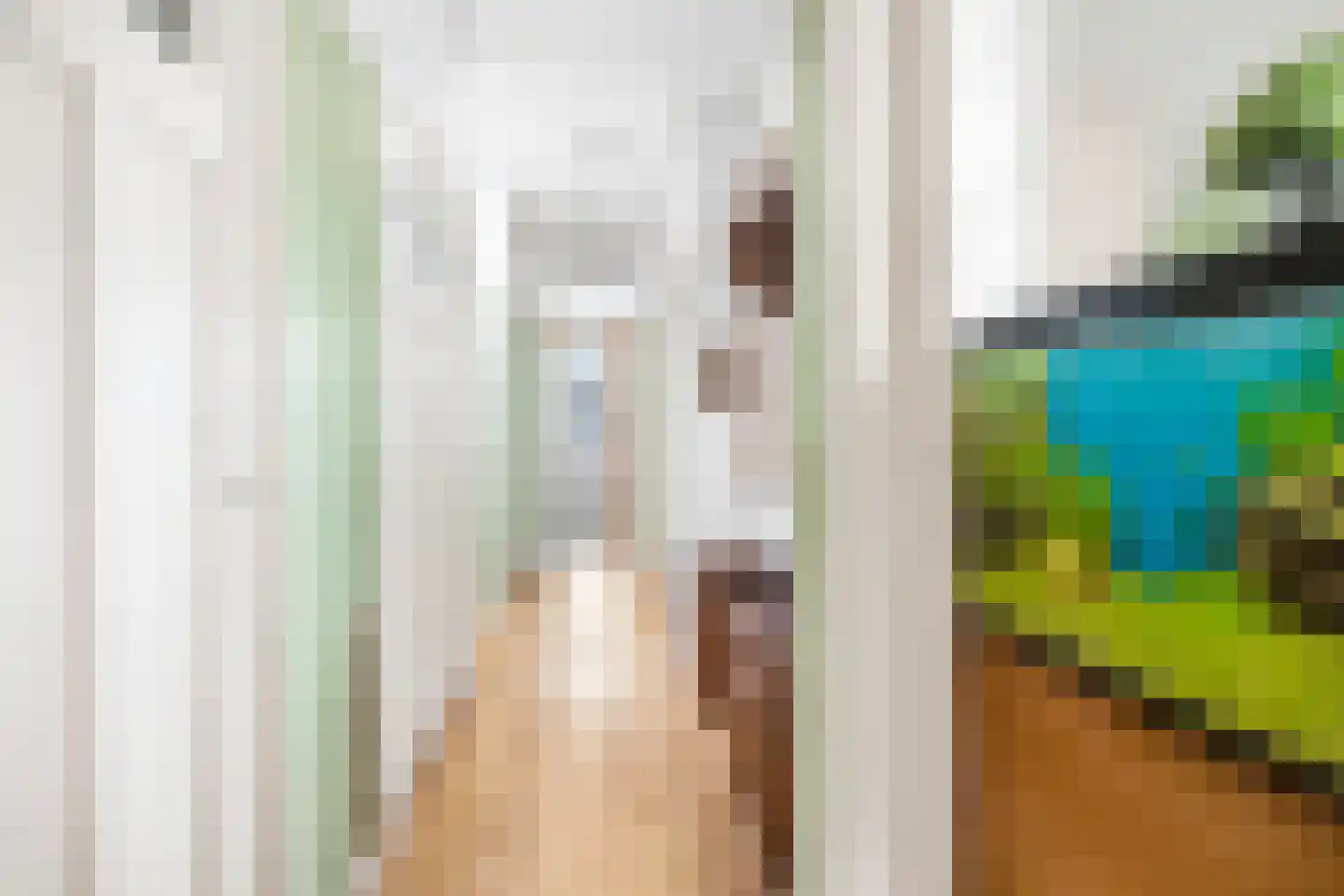 Hattemlaan 75 Den Haag thumbnail 8