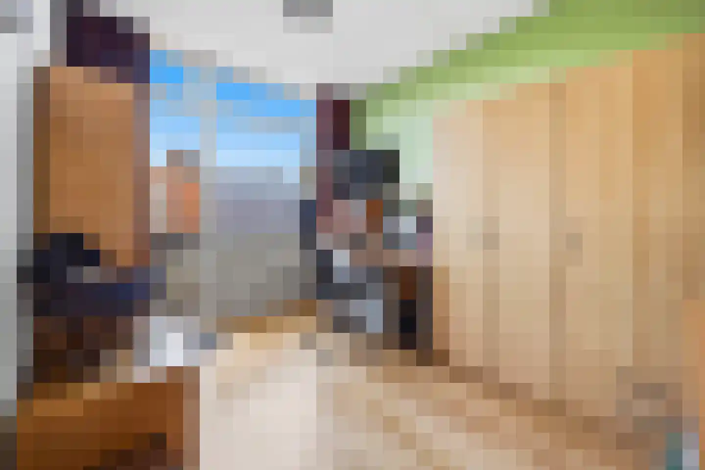 Hattemlaan 75 Den Haag thumbnail 9