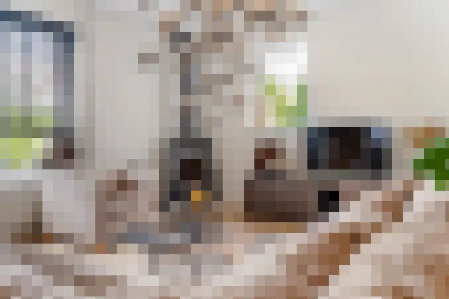 Hattemplein 6 Tilburg thumbnail 10