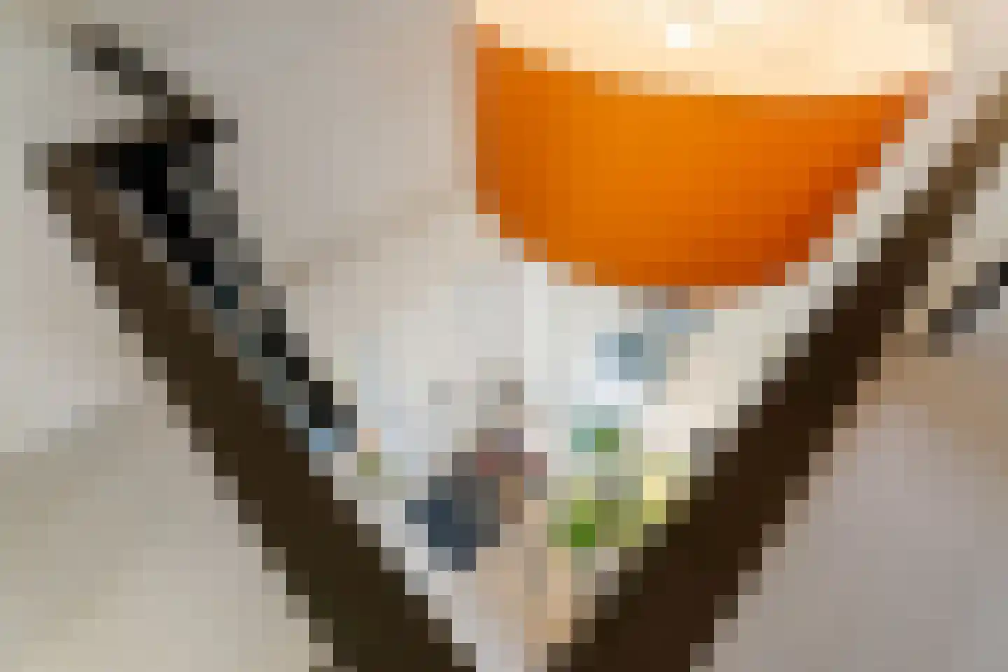 Hattemplein 6 Tilburg thumbnail 22