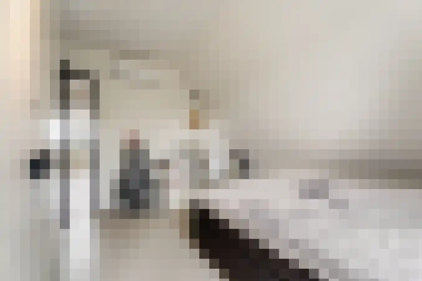 Hattemplein 6 Tilburg thumbnail 26