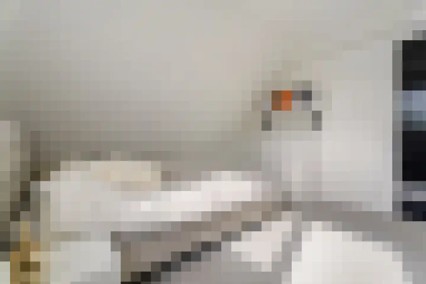 Hattemplein 6 Tilburg thumbnail 28