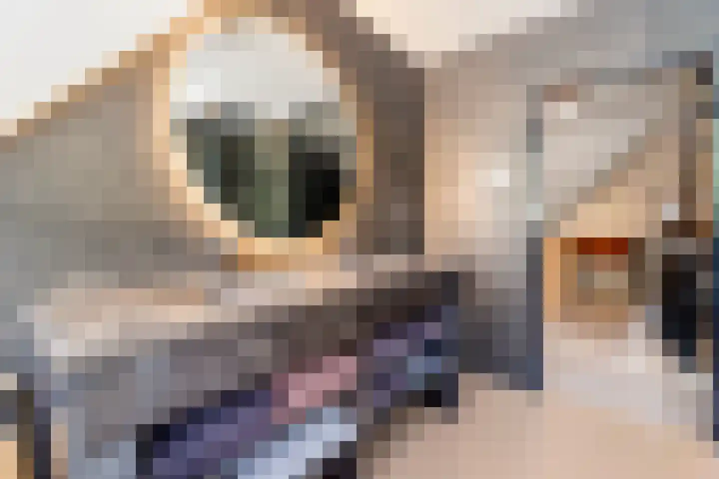 Hattemplein 6 Tilburg thumbnail 35
