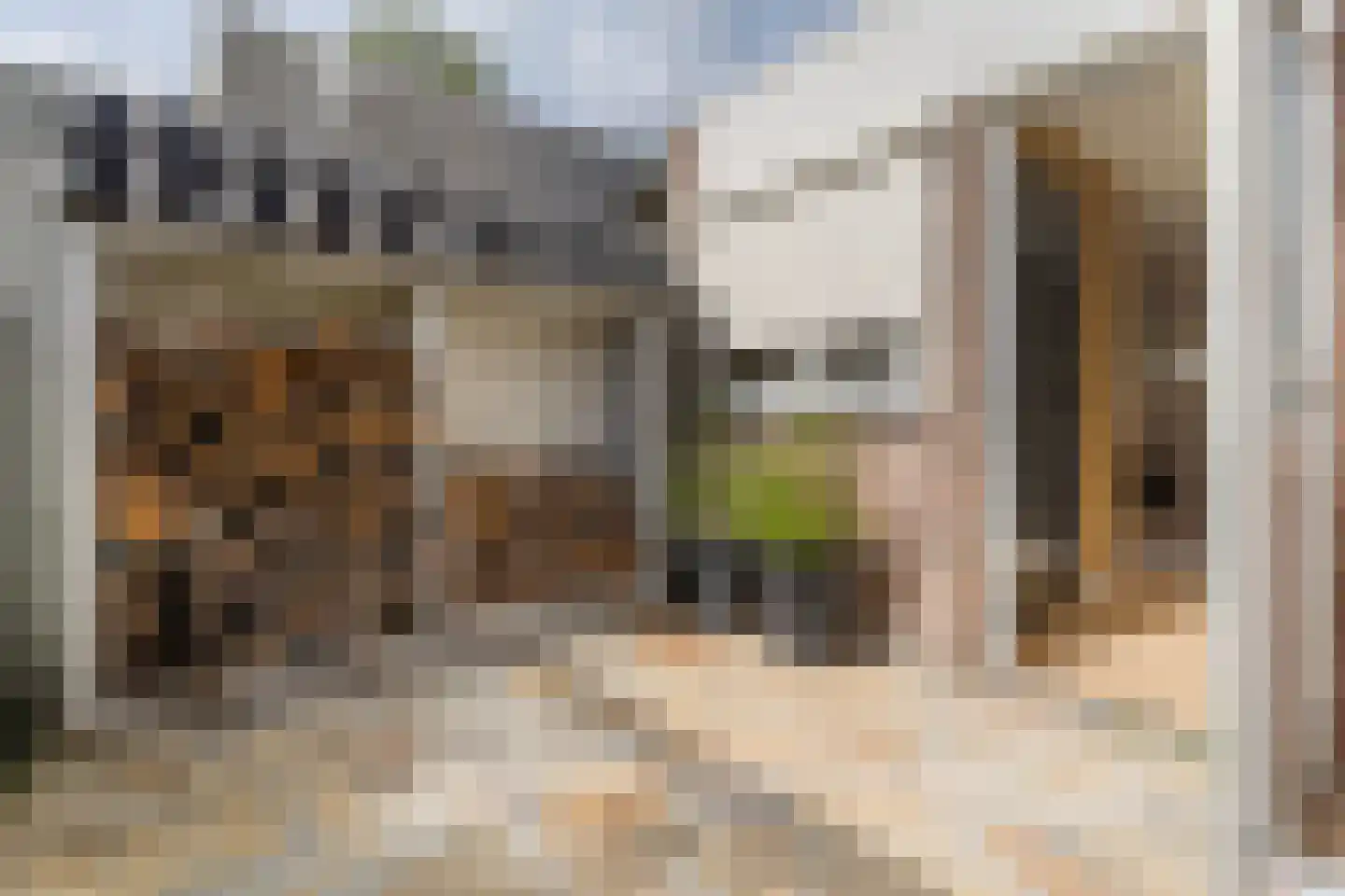Hattemplein 6 Tilburg thumbnail 41