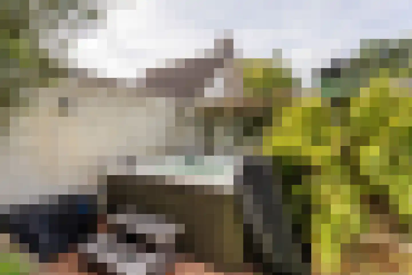 Hattemplein 6 Tilburg thumbnail 46
