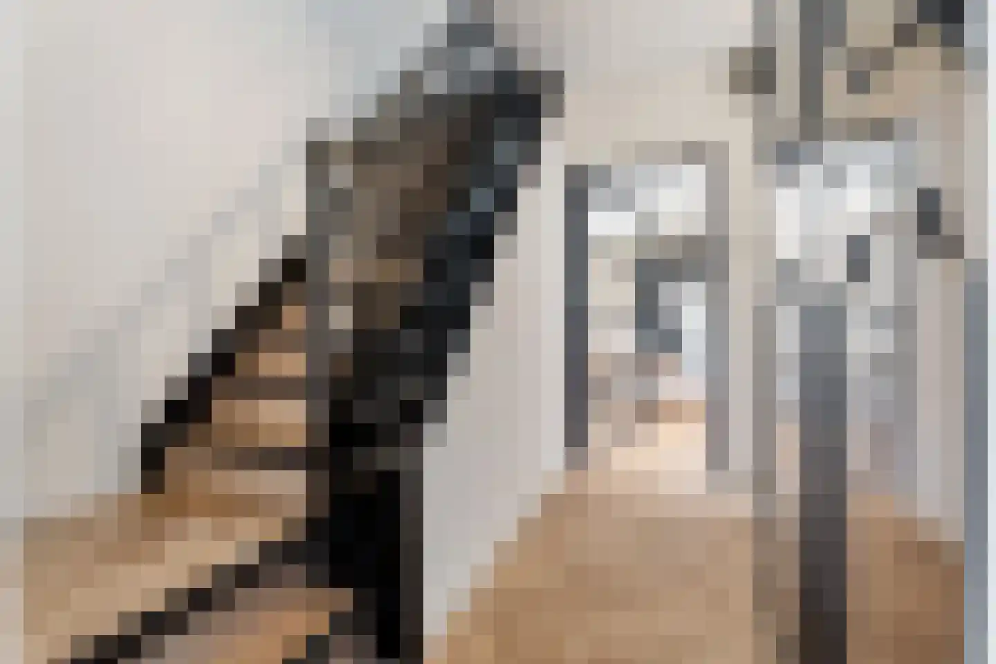 Hattemplein 6 Tilburg thumbnail 5